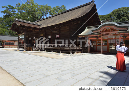 Omashima Osami Shrine Honten 43019573