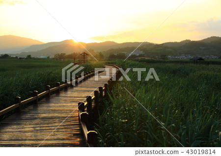 A way to walk A way to walk 43019814