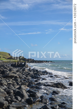 Archer Point 43019872