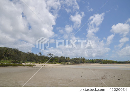 Archer Point 43020084