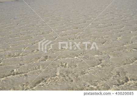 Archer Point 43020085