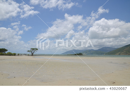 Archer Point 43020087