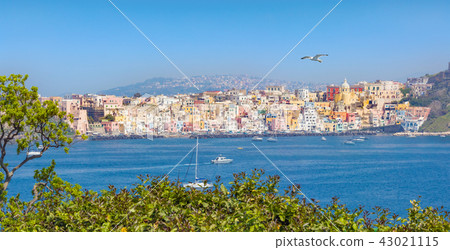 Amazing panoramic view of Procida Island, Italy 43021115