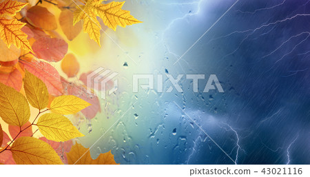 Fall rainy day, powerful lightnings Fall rainy day, powerful lightnings 43021116