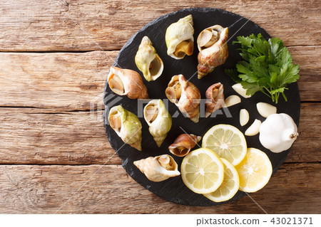 whelk, food, shell 43021371