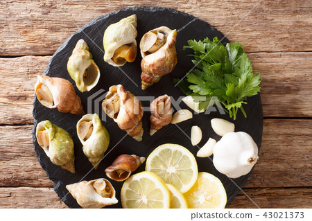raw edible sea snails, whelks close-up 43021373