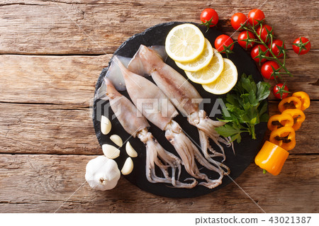 Fresh raw squid with tentacles closeup 43021387