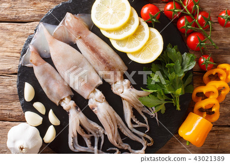 Seafood fresh squid with tentacles close-up Seafood fresh squid with tentacles close-up 43021389