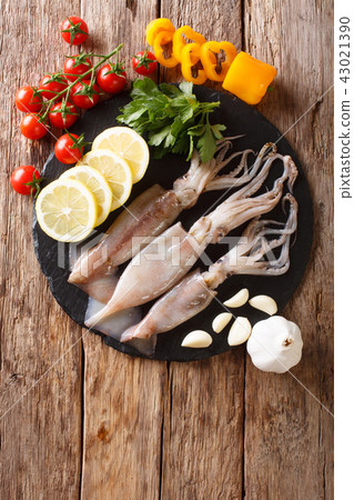 Fresh raw squid with tentacles closeup  43021390