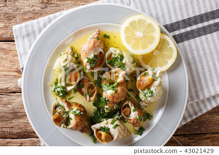 French shellfish bulot whelks served with a sauce 43021429