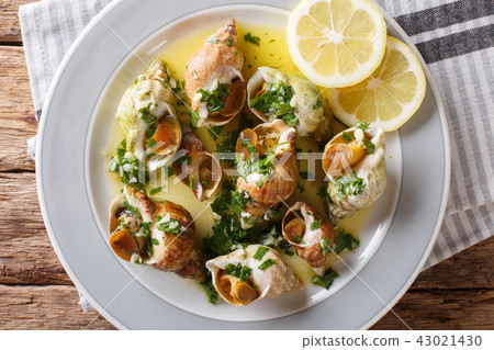 French seafood 43021430