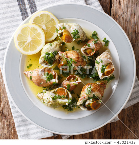 Bulots Cuits - Cooked Waved Whelks with a sauce Bulots Cuits - Cooked Waved Whelks with a sauce 43021432