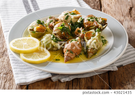 French shellfish bulot whelks served with a sauce 43021435