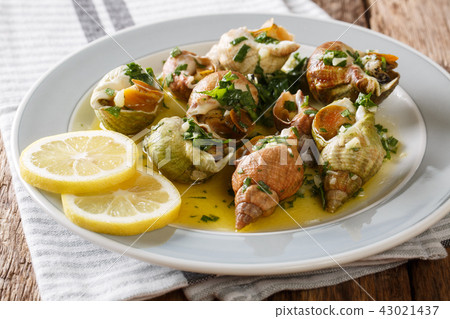 Bulots Cuits - Cooked Waved Whelks with a sauce 43021437