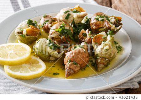 Portion of sea snails with a sauce 43021438