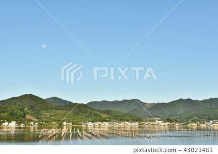 Morning full moon in the lake Inokashira moon 43021481