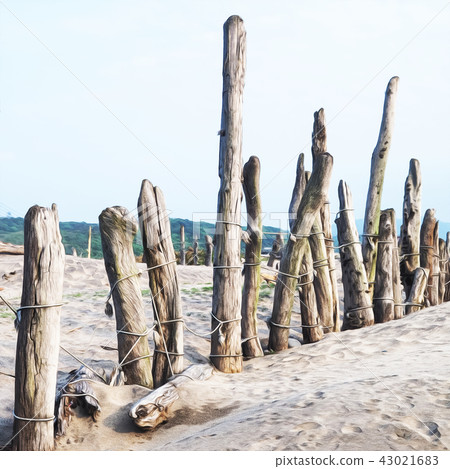 Beach timber 43021683