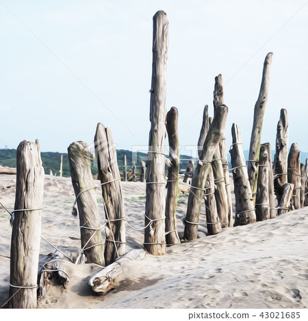 Beach timber Beach timber 43021685