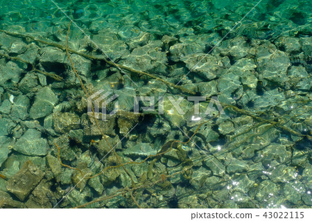 Sea of Narajima Sea of Narajima 43022115