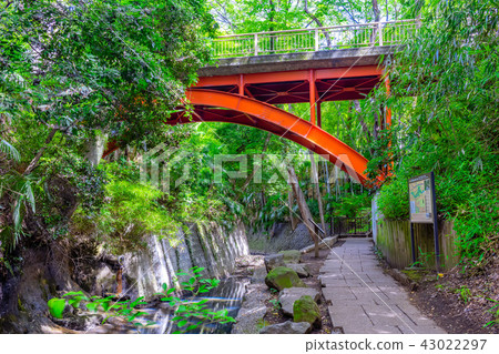 Tokyo's summer islands valley 43022297