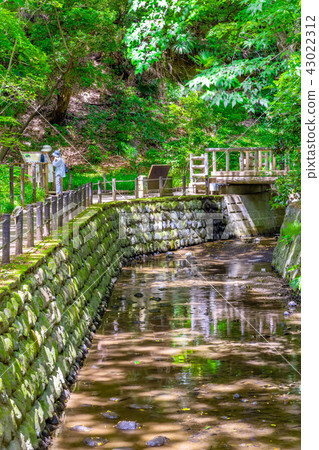 東京的夏季島嶼山谷 東京的夏季島嶼山谷 43022312