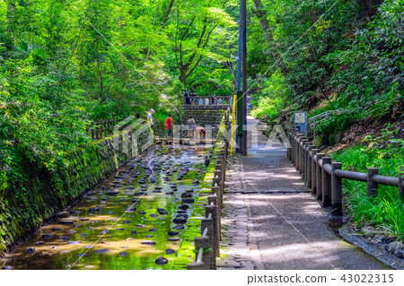 Tokyo's summer islands valley Tokyo's summer islands valley 43022315