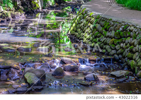 Tokyo's summer islands valley 43022316