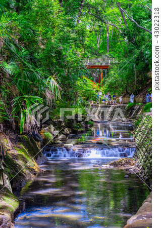 Tokyo's summer islands valley 43022318