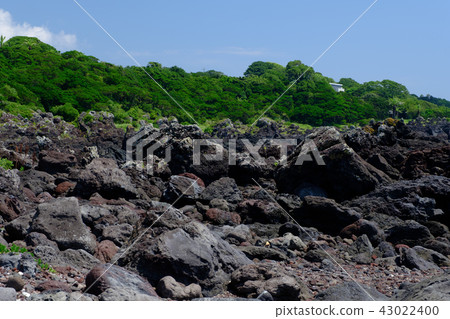 湖熔岩海岸 43022400