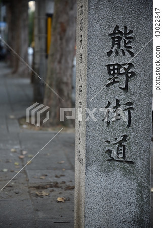 Kumano Highway 43022847