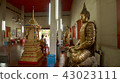 thailand, temple, temples 43023111
