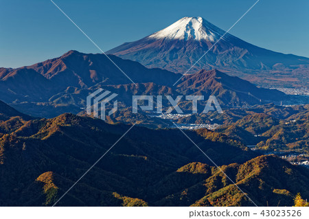 從早晨的Morihanzan山頂看到的富士山 43023526