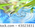 Water droplets 43023831