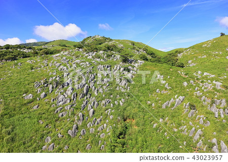 [無人機/航空照片]天氣晴朗的平尾台 43023957