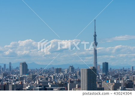 都市風景天空樹 都市風景天空樹 43024304