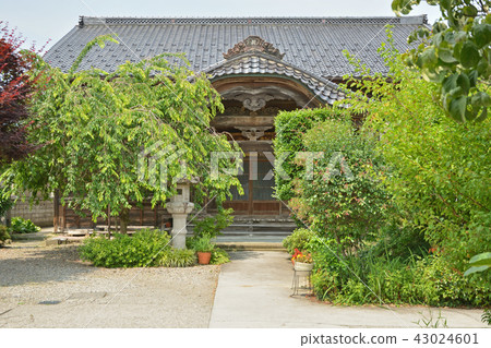 新潟縣·村上步行：城鎮Murakami-cho地區Myokoji 43024601