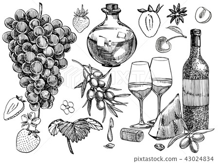 Vector set of vine products. Illustration in sketch style. Hand drawn design elements. Isolated on 43024834