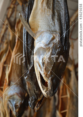 新潟縣·村上步行：鹽漬醃三文魚 43025038