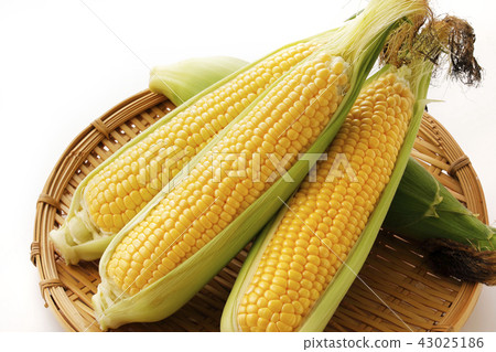 Corn 43025186