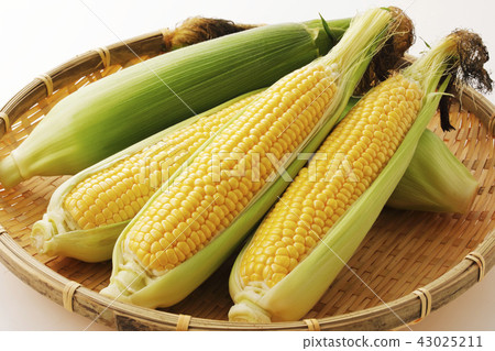 Corn Corn 43025211