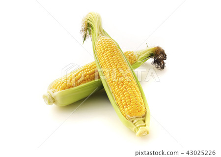 Corn Corn 43025226