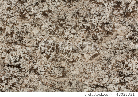 Beige granite, abstract background close up photo. 43025331
