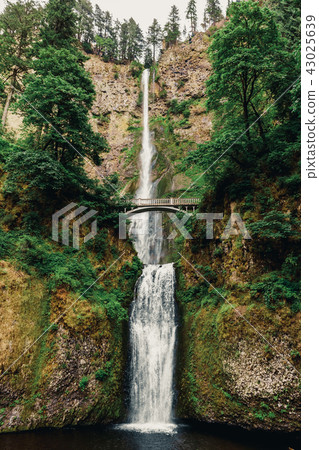 Multnomah Falls waterfall along the Columbia River Gorge Multnomah Falls waterfall along the Columbia River Gorge 43025639