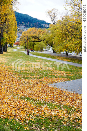 Autumn scenery of New Zealand 43026041