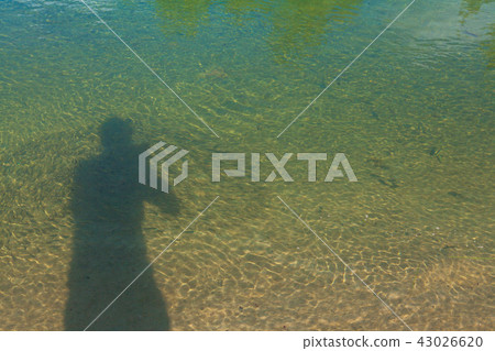 shadow of photographer in sea water shadow of photographer in sea water 43026620