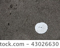 Sukashikashipan 43026630