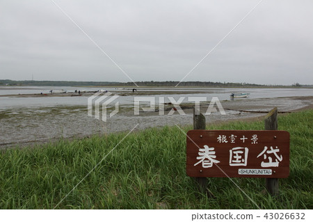 根室 43026632
