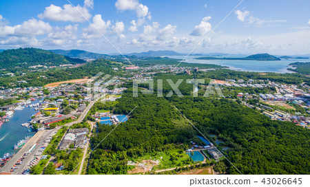 top view of mangrove forest in Phuket top view of mangrove forest in Phuket 43026645