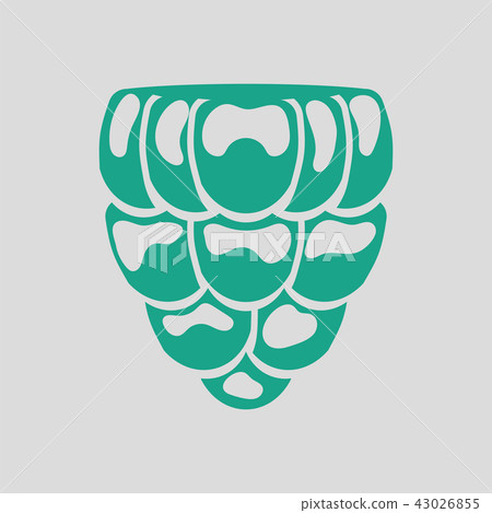 Icon of Raspberry 43026855