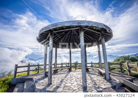 台東 太麻里 金針花季 雙乳峰 萱草 Orange Daylily 忘れ草 金針花 台東 太麻里 金針花季 雙乳峰 萱草 Orange Daylily 忘れ草 金針花 43027124